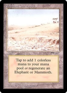 Elephant Graveyard Arabian Nights